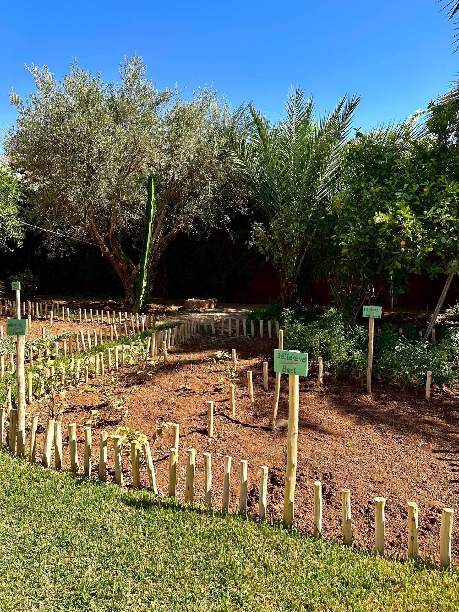 La Des Golfs & Pinkcactus فندق 5*